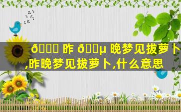 🐋 昨 🌵 晚梦见拔萝卜,昨晚梦见拔萝卜,什么意思